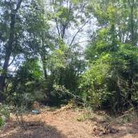 Nature trail progress