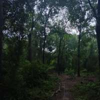 Nature trail progress