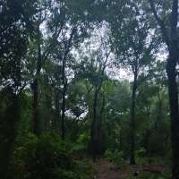 Nature trail progress