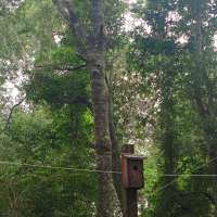 Nature trail progress