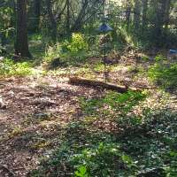 Nature trail progress