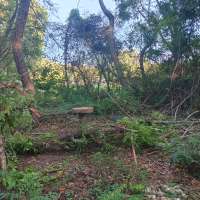 Nature trail progress