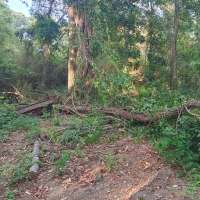 Nature trail progress