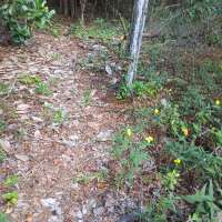 Nature trail progress