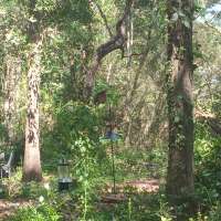 Nature trail progress